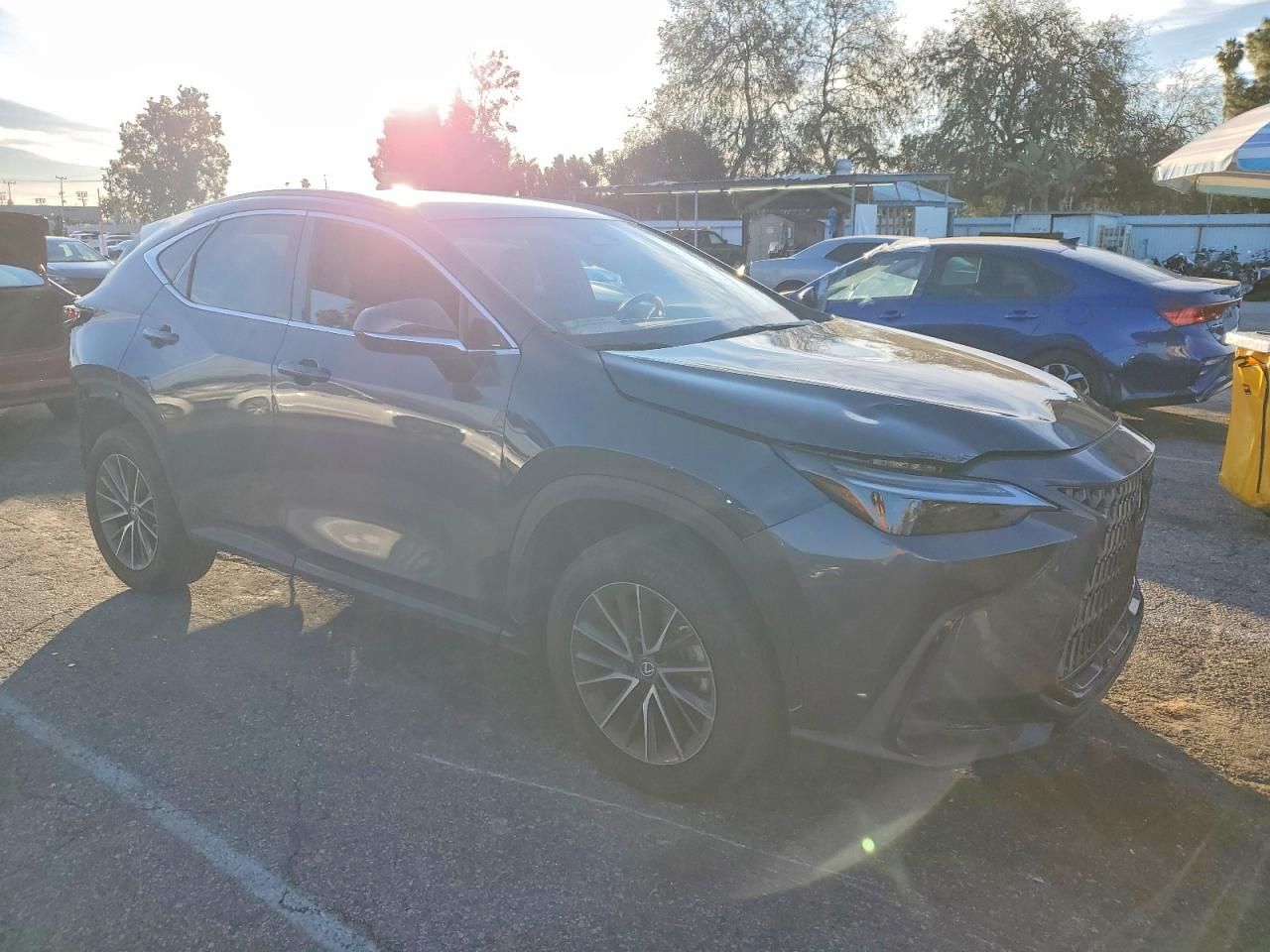2023 Lexus Nx 250