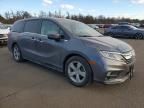 2019 Honda Odyssey exl