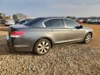 2010 Honda Accord ex