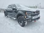 2023 Ford F150 Raptor