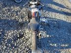 2024 Cf Moto 450SS