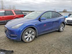 Tesla salvage cars for sale: 2023 Tesla Model y