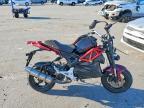 2024 Other Snow Mobiles Trailmobil