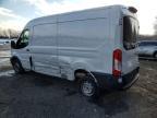 2024 Ford Transit 250 Delivery van
