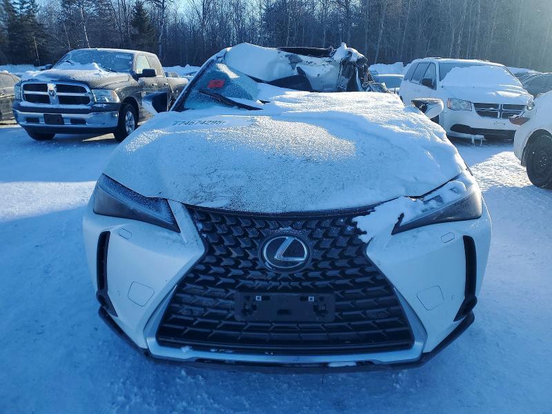 2025 Lexus Ux 300h Base