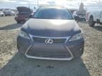 2014 Lexus Ct 200