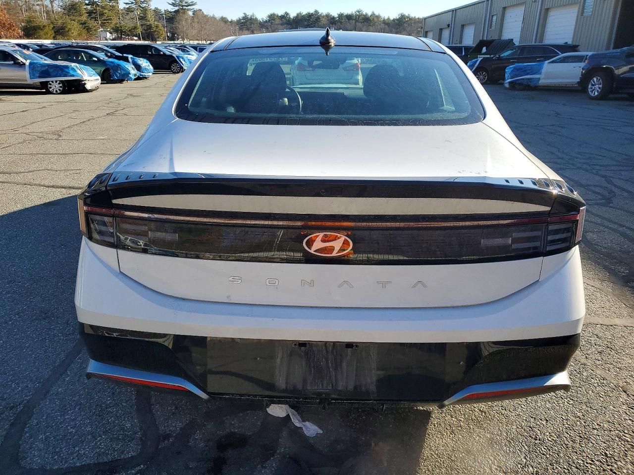 2024 Hyundai Sonata sel