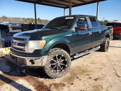 2013 Ford F150 Supercrew for sale in Hueytown, AL