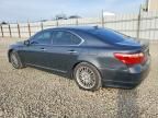2010 Lexus Ls 460