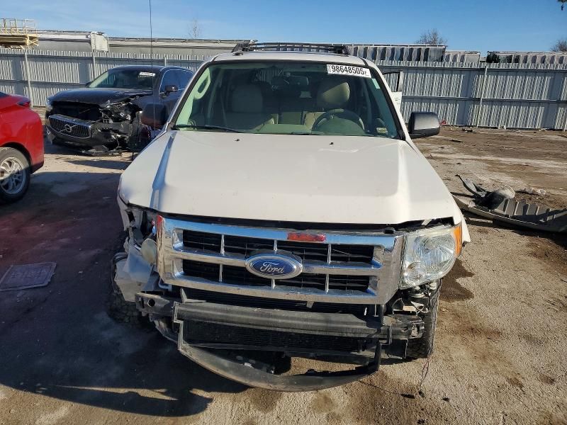 2011 Ford Escape xlt