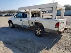 2001 Dodge Dakota