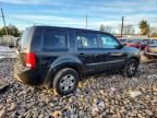 2013 Honda Pilot lx