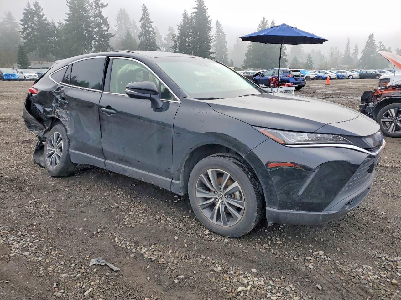 2022 Toyota Venza le