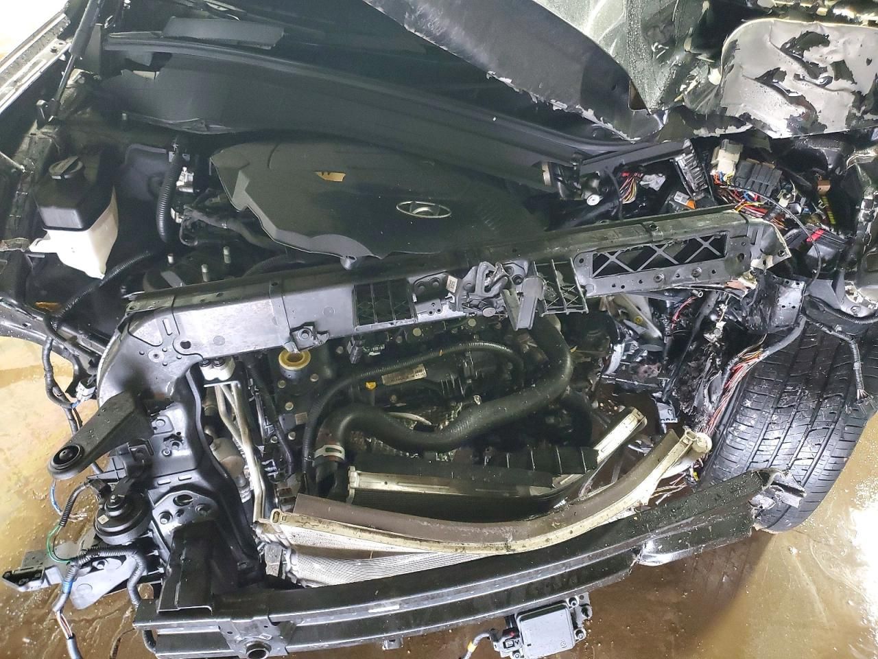 2021 Hyundai Palisade Calligraphy