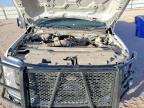 2024 Ford F250 Super Duty