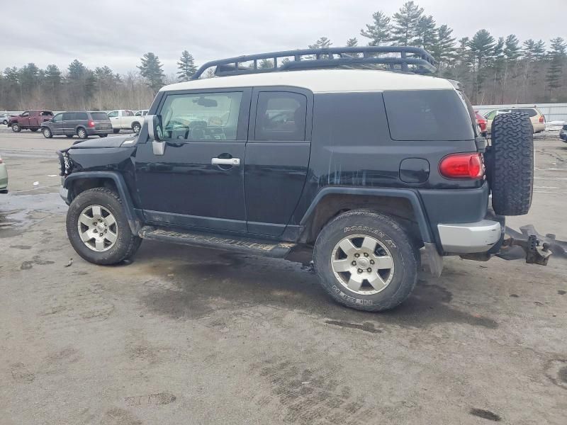 2010 Toyota Fj Cruiser
