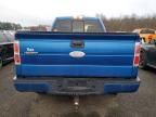 2009 Ford F150