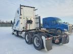 2019 Freightliner Cascadia 1-Semi Truck
