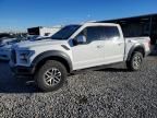 2018 Ford F150 Raptor