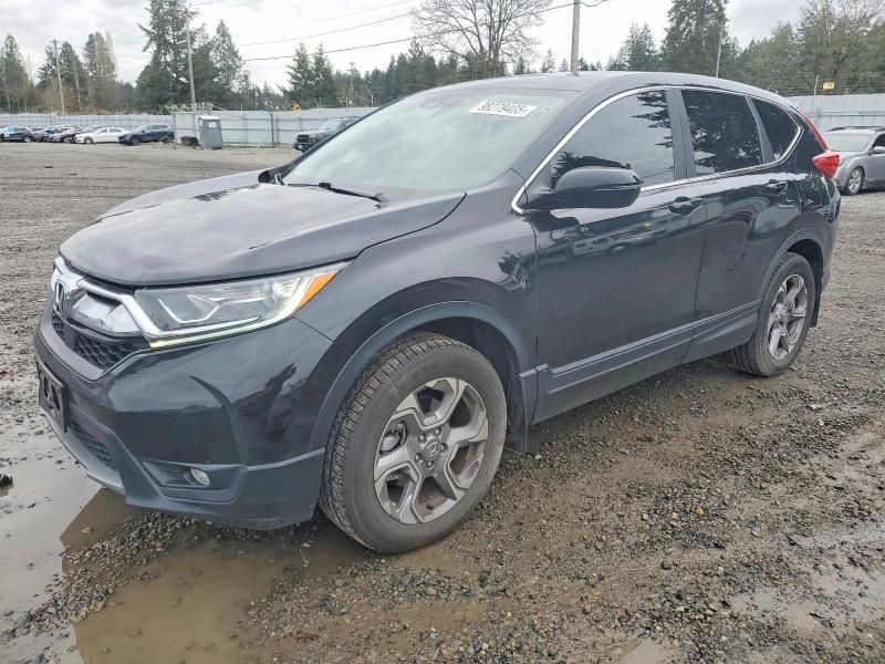 2019 Honda Cr-v exl