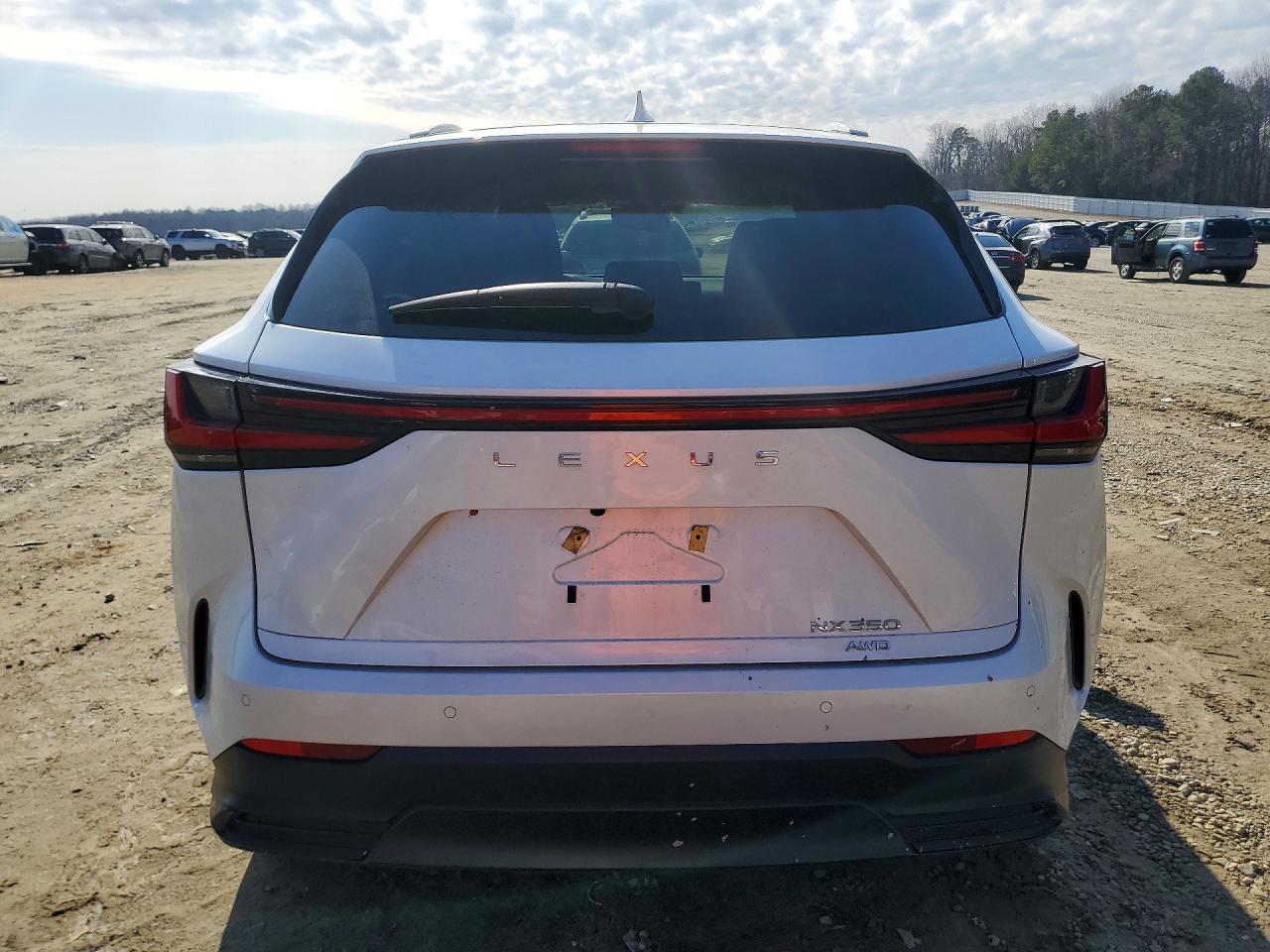 2025 Lexus Nx 350 Premium