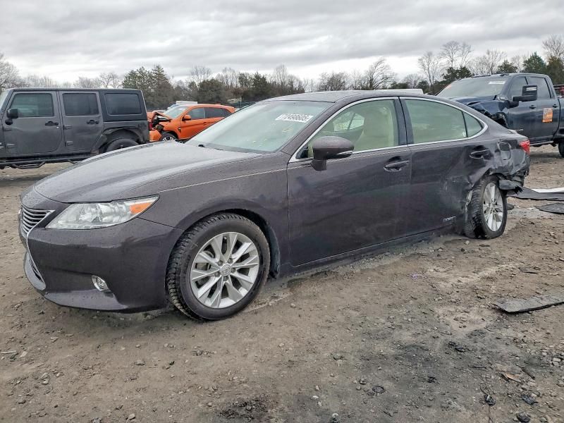 2015 Lexus Es 300h