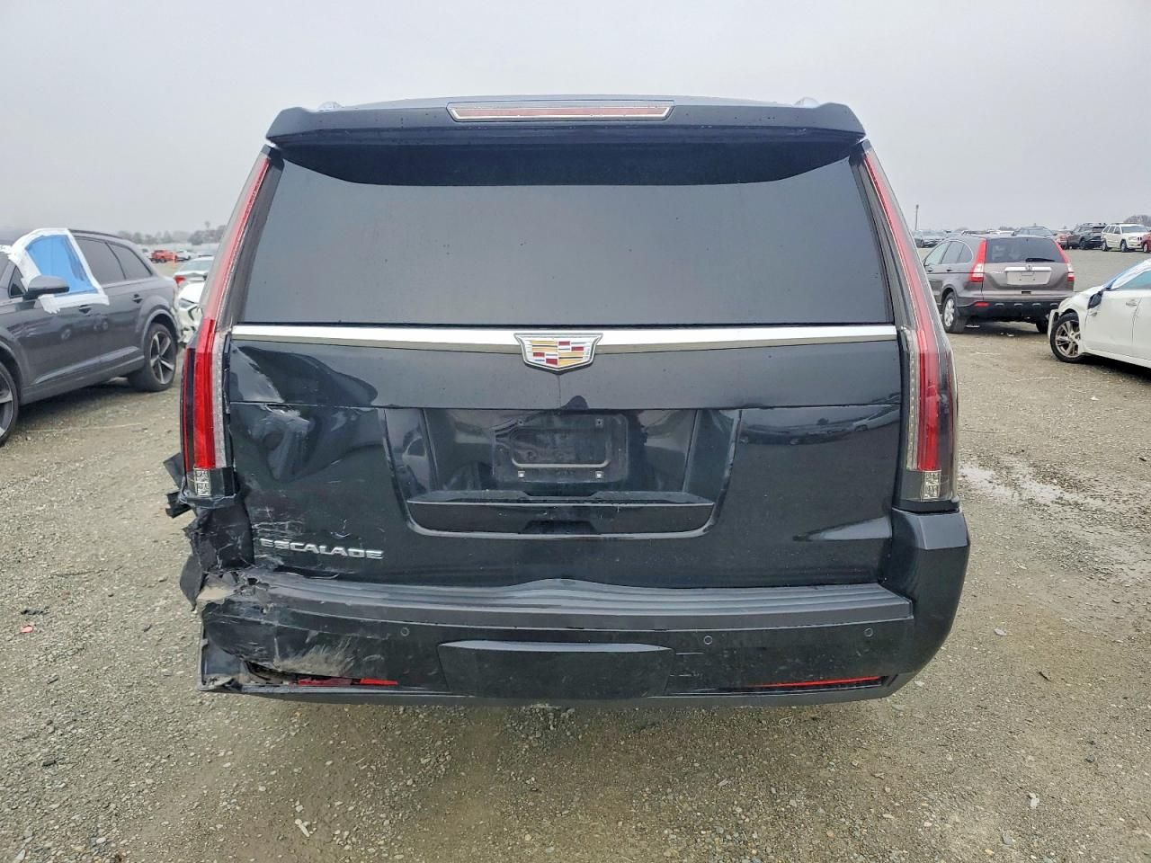2016 Cadillac Escalade esv Platinum