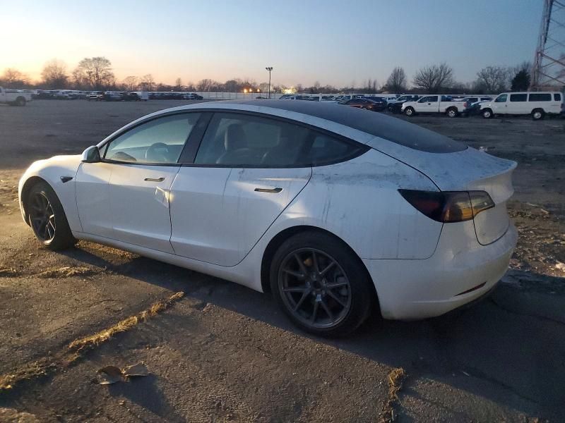 2021 Tesla Model 3