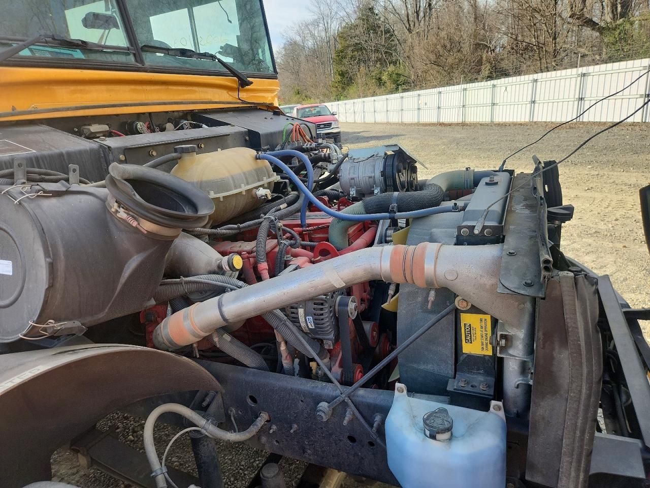 2018 Blub School Bus / Transit