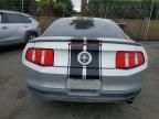 2010 Ford Mustang
