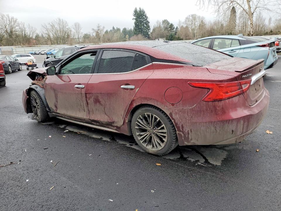 2017 Niss Maxima Platinum