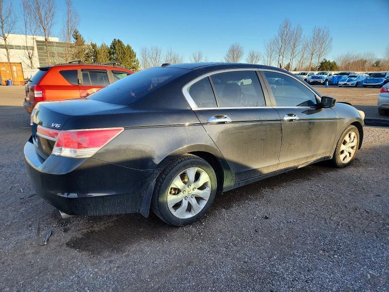 2011 Honda Accord exl