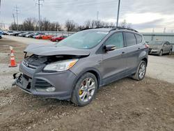 Salvage cars for sale from Copart Moraine, OH: 2013 Ford Escape sel