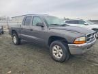 2004 Dodge Dakota Quad slt