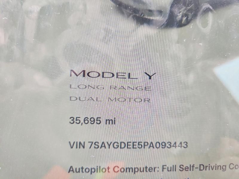 2023 Tesla Model y