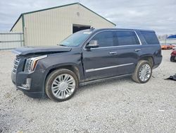 2018 Cadillac Escalade Platinum en venta en Lawrenceburg, KY