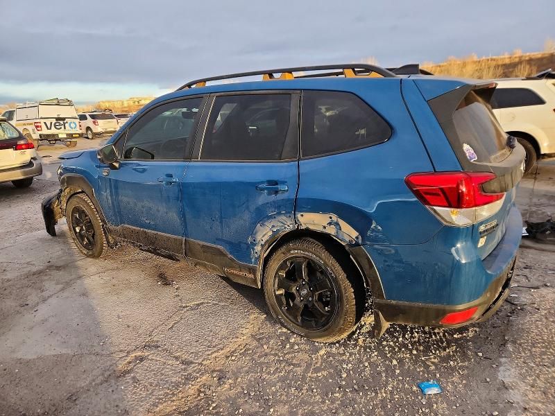 2024 Subaru Forester Wilderness