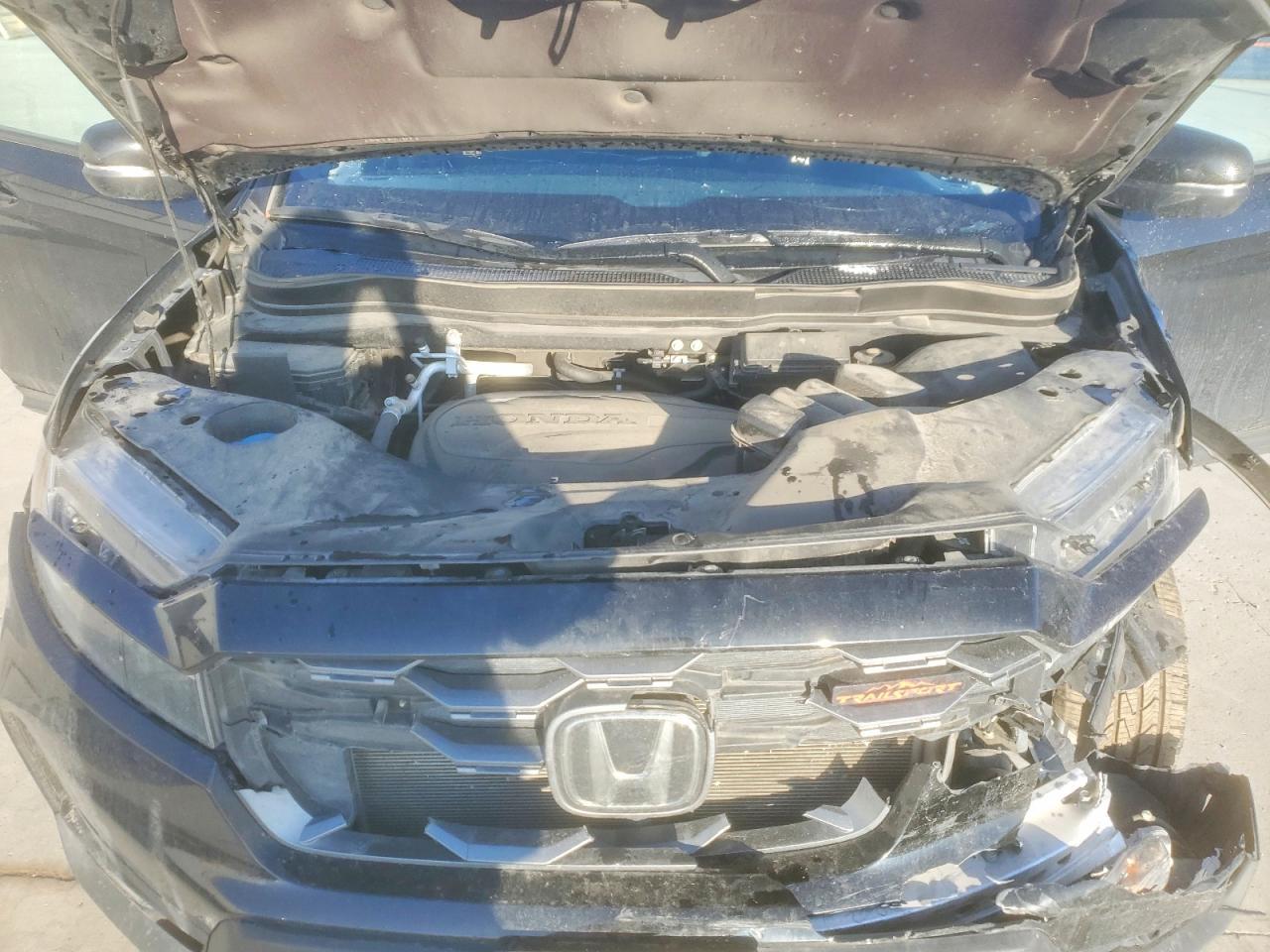 2023 Honda Passport Trail Sport