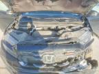 2023 Honda Passport Trail Sport