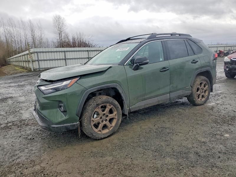 2025 Toyota Rav4 Woodland Edition