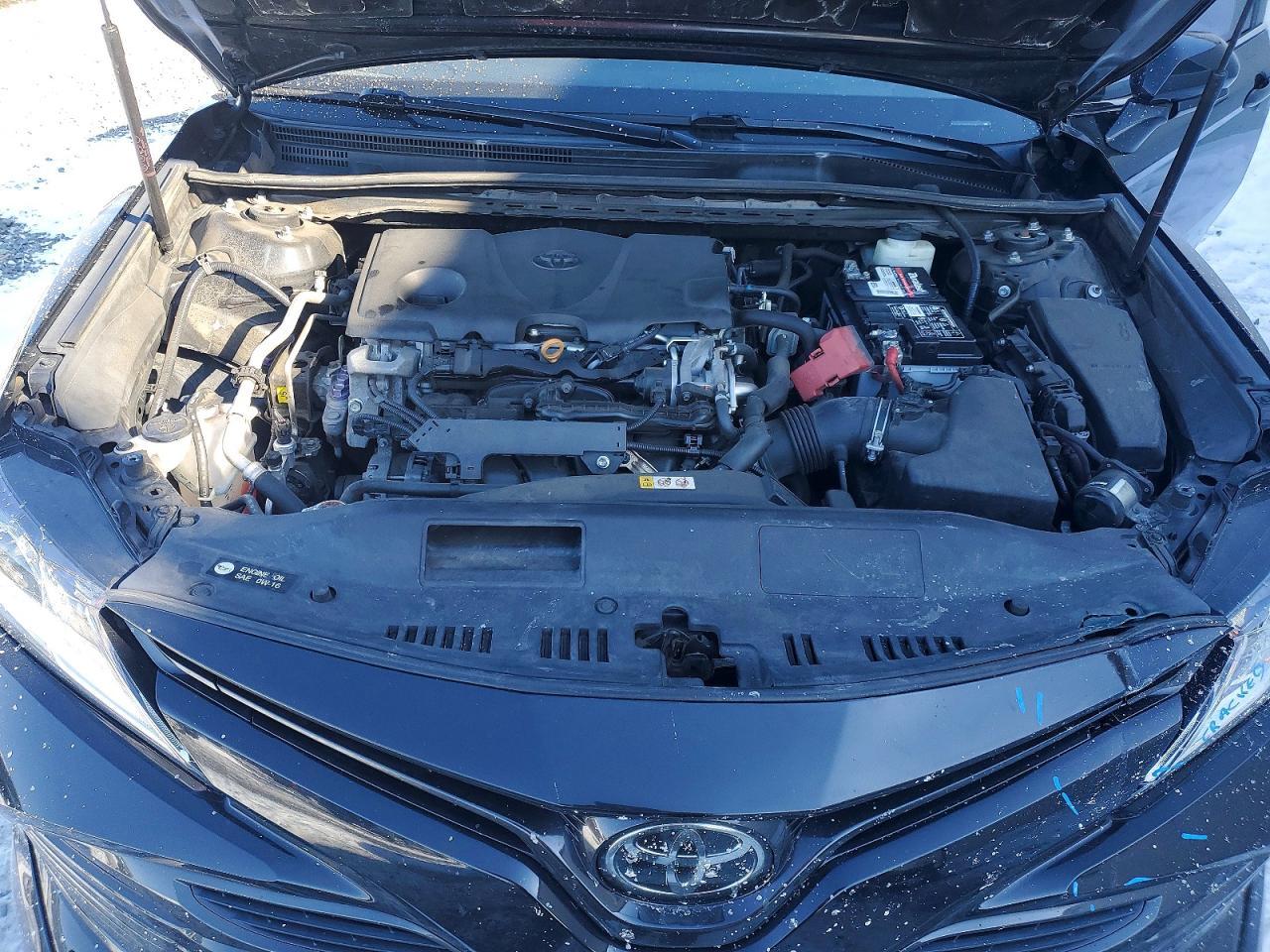 2019 Toyota Camry l