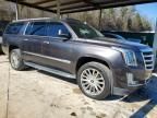 2017 Cadillac Escalade esv Luxury