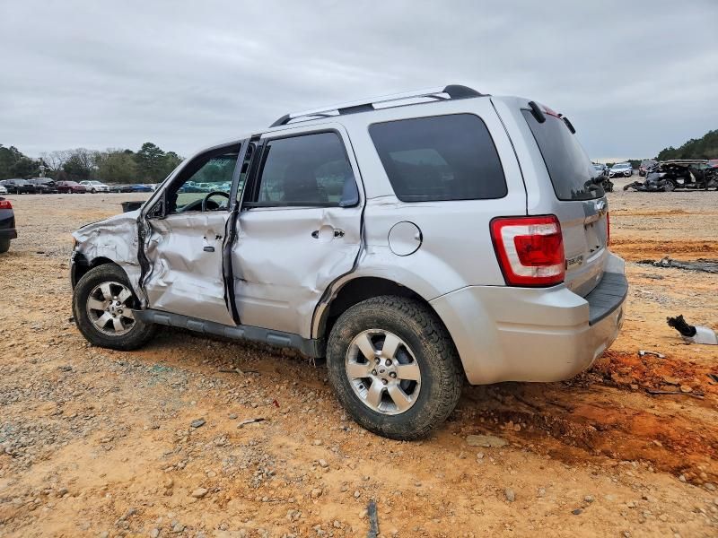 2011 Ford Escape Limited