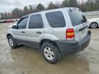 2005 Ford Escape xlt