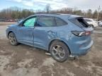 2024 Ford Escape st Line