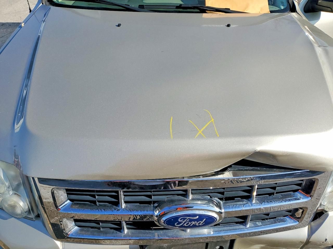 2010 Ford Escape xlt