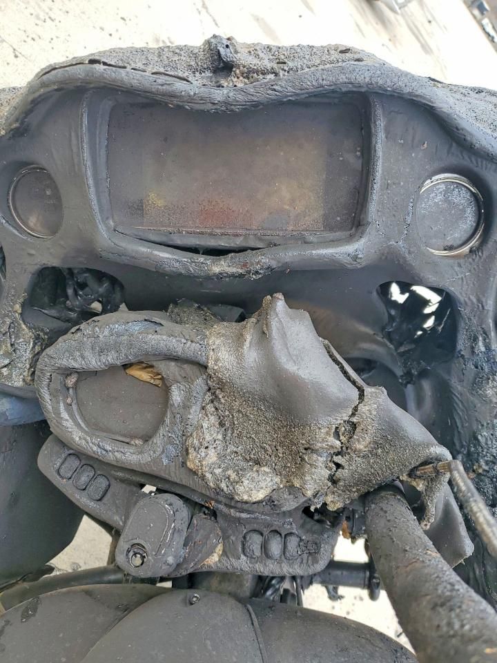 2019 Harley-Davidson Fltrxs