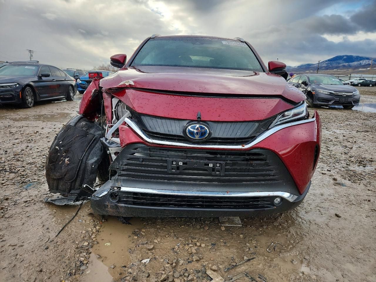 2024 Toyota Venza le