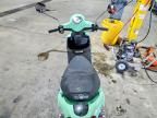2019 Genuine Scooter Co. Buddy 50