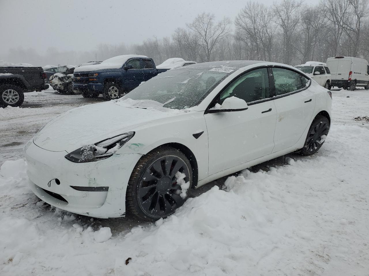 2023 Tesla Model 3